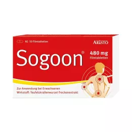 SOGOON 480 mg plėvele dengtos tabletės, 50 vnt