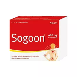 SOGOON 480 mg plėvelės dengtos tabletės, 100 ST