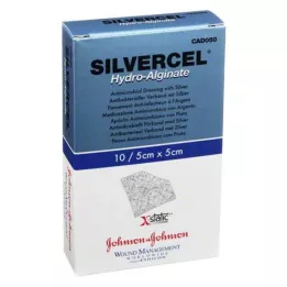SILVERCEL Hidroalginatinis tvarstis 5x5 cm, 10 vnt