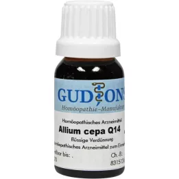 ALLIUM CEPA Q 14 tirpalas, 15 ml