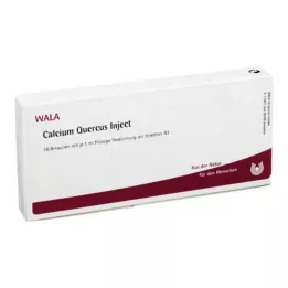 CALCIUM QUERCUS Įšvirkšti ampules, 10x1 ml