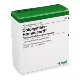 COLOCYNTHIS HOMACCORD Ampulės, 10 vnt