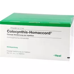 COLOCYNTHIS HOMACCORD Ampulės, 100 vnt