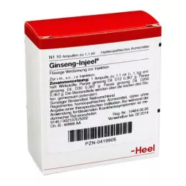 GINSENG INJEEL Ampulės, 10 vnt