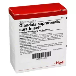 GLANDULA SUPRARENALIS suis Injeel ampulės, 10 vnt