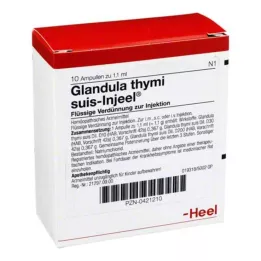 GLANDULA THYMI suis Injeel ampulės, 10 vnt