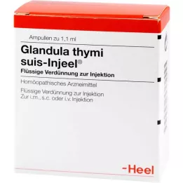GLANDULA THYMI suis Injeel ampulės, 100 vnt