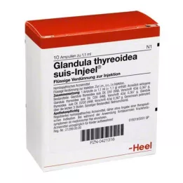 GLANDULA THYREOIDEA suis Injeel ampulės, 10 vnt