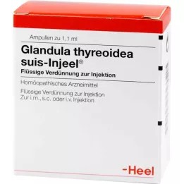 GLANDULA THYREOIDEA suis Injeel ampulės, 100 vnt