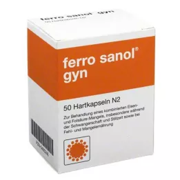 FERRO SANOL gyn kietos kapsulės su dengtomis granulėmis, 50 vnt