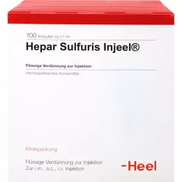 HEPAR SULFURIS INJEEL Ampulės, 100 vnt