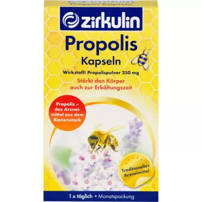 ZIRKULIN Propolio kapsulės, 30 vnt