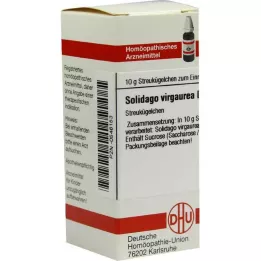 SOLIDAGO VIRGAUREA D 8 rutuliukai, 10 g