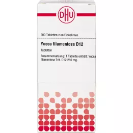 YUCCA FILAMENTOSA D 12 tablečių, 200 vnt