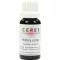 CERES Hedera comp. lašai, 20 ml