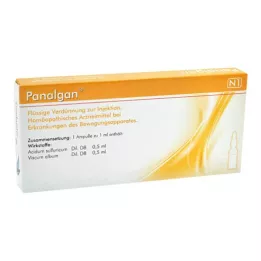 PANALGAN Ampulės, 10X10 vnt