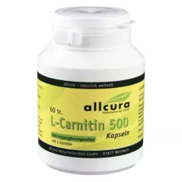 L-CARNITIN KAPSELN 500, 60 vnt