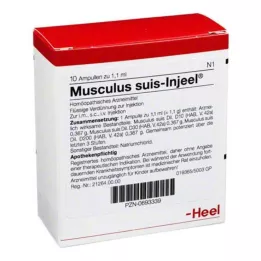 MUSCULUS SUIS Injeel ampulės, 10 vnt