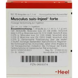 MUSCULUS SUIS Injeel forte ampulės, 10 vnt