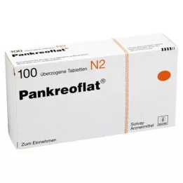 PANKREOFLAT dengtos tabletės, 100 vnt