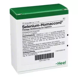 SELENIUM HOMACCORD Ampulės, 10 vnt
