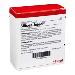 SILICEA INJEEL Ampulės, 10 vnt