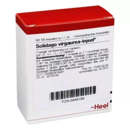 SOLIDAGO VIRGAUREA INJEEL Ampulės, 10 vnt