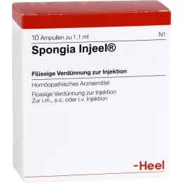 SPONGIA INJEEL Ampulės, 10 vnt