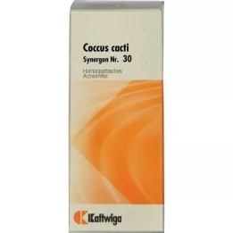 SYNERGON KOMPLEX 30 Coccus kaktusų lašų, 20 ml