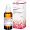 PHYTOLACCA Motinos tinktūra, 50 ml