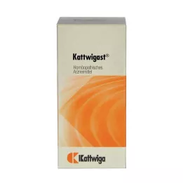 KATTWIGAST Tabletės, 100 vnt