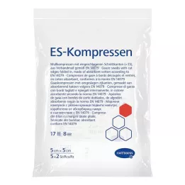 ES-KOMPRESSEN sterilus 5x5 cm 8 krypčių, 5X2 vnt