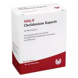 CHELIDONIUM KAPSULES, 30 vnt