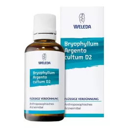 BRYOPHYLLUM ARGENTO cultum D 3 Skiedimas, 50 ml