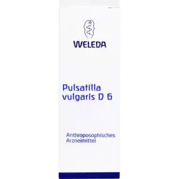 PULSATILLA VULGARIS D 6 Skiedimas, 50 ml