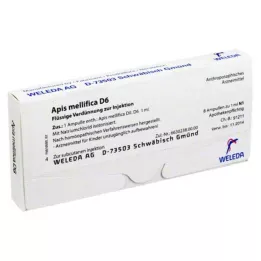 APIS MELLIFICA D 6 ampulės, 8 vnt
