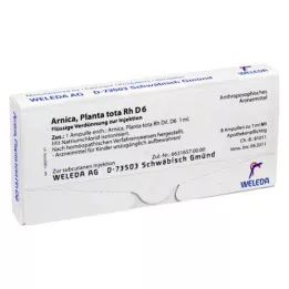 ARNICA PLANTA iš viso Rh D 6 ampulės, 8X1 ml