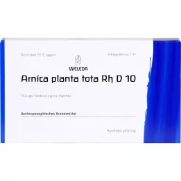 ARNICA PLANTA iš viso Rh D 10 ampulės, 8 ml
