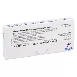 CISSUS-OSSA D 6 ampulės, 8X1 ml