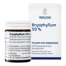 BRYOPHYLLUM 50 % miltelių peroraliniam vartojimui, 50 g