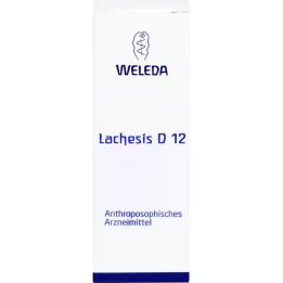 LACHESIS D 12 Skiedimas, 50 ml