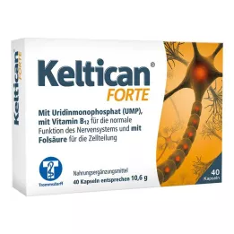 KELTICAN forte kapsulės, 40 vnt