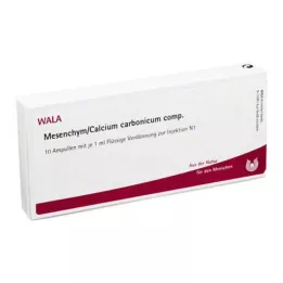 MESENCHYM/CALCIUM carbonicum comp. ampulės, 10X1 ml