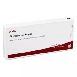 ORGANUM quadruplex ampulės, 10X1 ml
