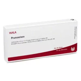 PRUNUSEISEN Ampulės, 10X1 ml