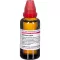 ECHINACEA HAB Išorinis, 50 ml