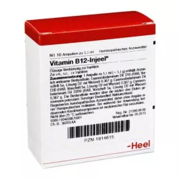 VITAMIN B12 INJEEL ampulės, 10 vnt