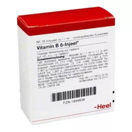 VITAMIN B6 INJEEL ampulės, 10 vnt
