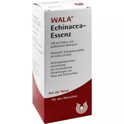ECHINACEA ESSENCIJA, 100 ml