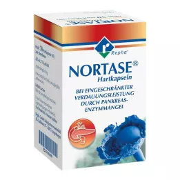 NORTASE kapsulės, 50 vnt